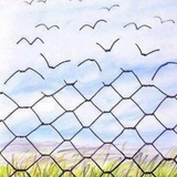 Telegram profile photo for Friends of Freedom