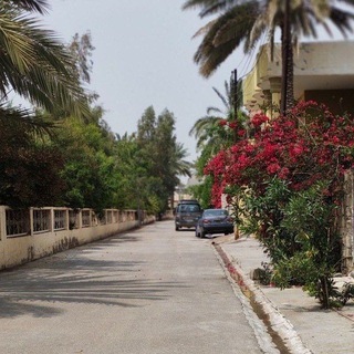 Telegram profile photo for أفاطِـم.