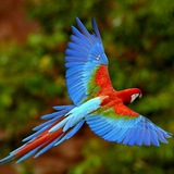Telegram profile photo for عجایب