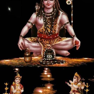 Telegram profile photo for SATTA KING PRINCE KAPOOR NO 1