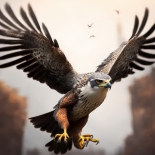 Telegram profile photo for Алгоритмы Сокола