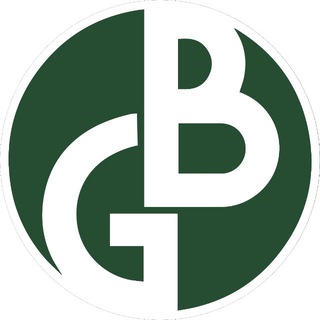 Telegram profile photo for BeaGood Foundation