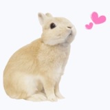 Telegram profile photo for sun laughed