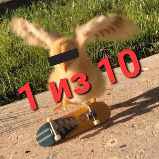 Telegram profile photo for 1 из 10 мемов я сделал сам
