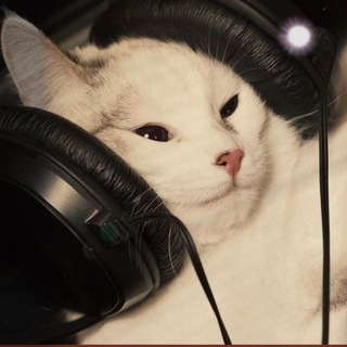 Telegram profile photo for Нежное это.Музыка.