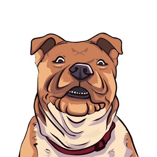 Telegram profile photo for Dogs Rock Group