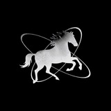 Telegram profile photo for -