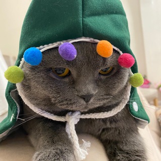 Telegram profile photo for fink