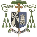 Telegram profile photo for Tese de Cassiciacum BRASIL • Veritas et Sapientia