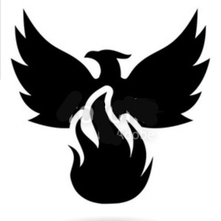 Telegram profile photo for Phoenix traders