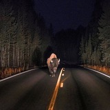 Telegram profile photo for 42 этаж
