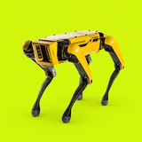 Telegram profile photo for $SPOTDOG - The Amazon Dog