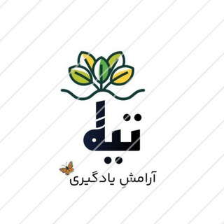 Telegram profile photo for آموزش زبان ترکی استانبولی🇹🇷