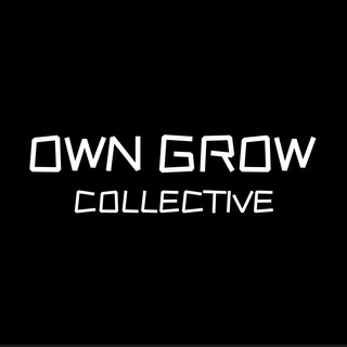 Telegram profile photo for OG club