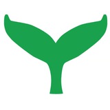 Telegram profile photo for BanyanBot Notification