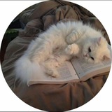 Telegram profile photo for مادة اللغة الأنگليزية
