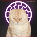 Telegram profile photo for Не штурм