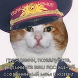 Telegram profile photo for Мемочная