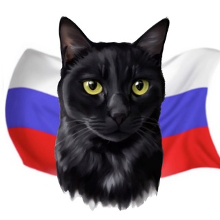 Telegram group profile photo for Putinger's Cat Chat/ Кот Путингера Chat