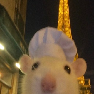 Telegram profile photo for Who let Vas cook ❓