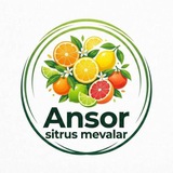 Telegram profile photo for Ansor sitrus