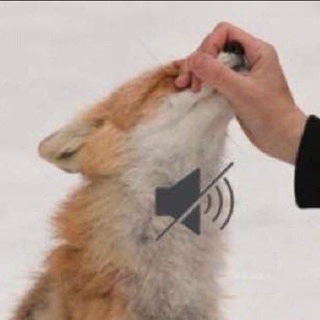 Telegram profile photo for awesome 2