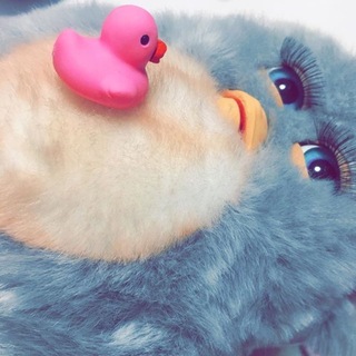 Telegram profile photo for Irl furby