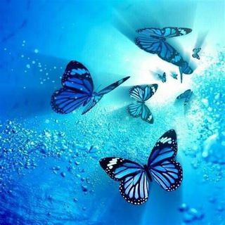Telegram profile photo for عالم الفنوان و الخلفيات الشاشه