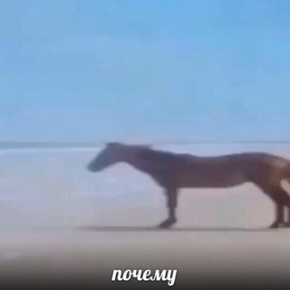 Telegram profile photo for в бк ненавидят
