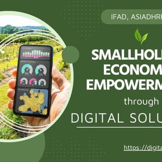 Telegram profile photo for SEEDS l CamboDHRRA