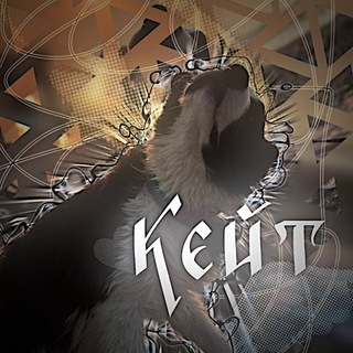 Telegram profile photo for Бордер Кейт 🪽