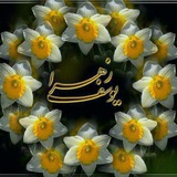 Telegram profile photo for گل نرگس 🌼