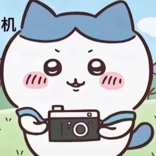 Telegram profile photo for 阿Q云加速通知栏