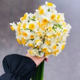 Telegram profile photo for مـَـلاذٌ لهَــاجـر ♡