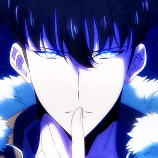 Telegram profile photo for Solo Leveling VF S1 à S4