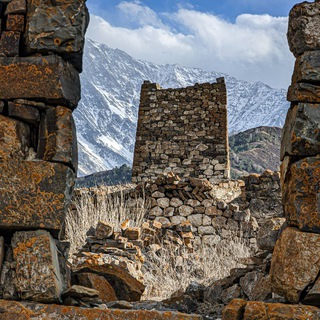 Telegram profile photo for Æmbisond