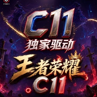Telegram profile photo for C11王者解密