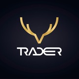 Telegram profile photo for Tradeer Forex & Equities Channel