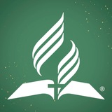 Telegram profile photo for ВВО News
