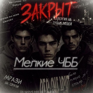 Telegram profile photo for Закрыт | Мелкие ЧББ