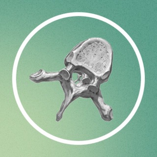 Telegram profile photo for CMS | Анатомия