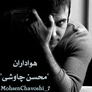 Telegram profile photo for "هواداران محسن چاوشی"