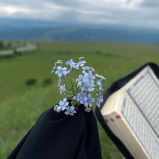 Telegram profile photo for نـورُ بـيت النبـوةِ.