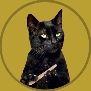 Telegram profile photo for meow (portal)