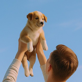 Telegram profile photo for Barbos.online