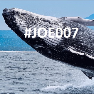 Telegram profile photo for Joe007 Chat