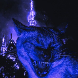 Telegram profile photo for 𝐓𝐇𝐂..