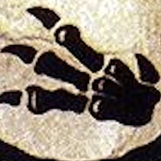 Telegram profile photo for BA$EDFOSSIL