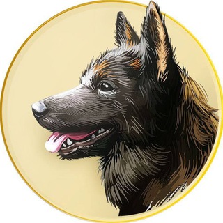 Telegram profile photo for UncBot SHIBAKEN