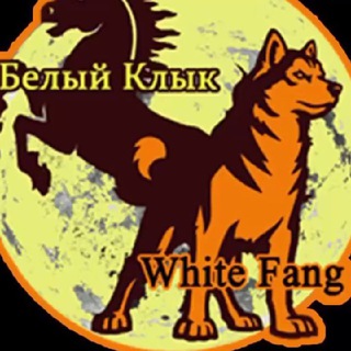 Telegram profile photo for Белый Клык Магадан